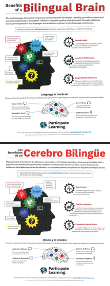 bilingual brain image